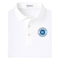 MEN'S PETER MILLAR SOLID POLO